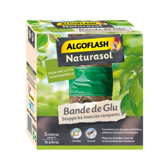 Bande de Glu 5m