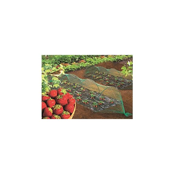 Filet de protection oiseaux 2x5m - INTERMAS
