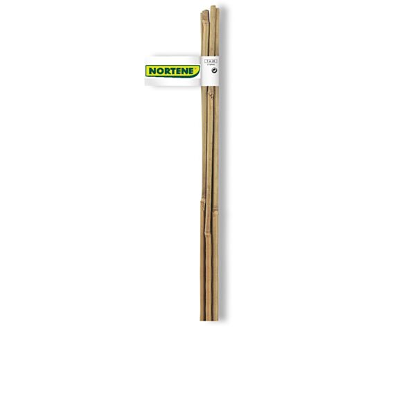 Tuteur bambou naturel lot 6 gencodé Ø 6/8mmx0,60m - INTERMAS