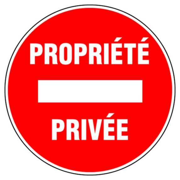 Disque diamètre 300 mm rigide 