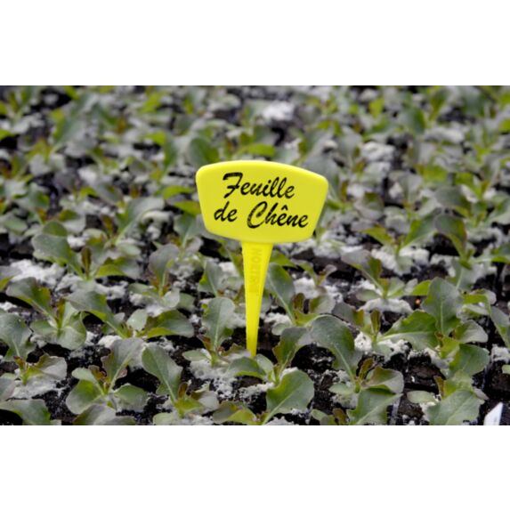 Étiquettes Label 15cm jaunes à planter x 10 - NORTENE