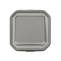 Poussoir NO lumineux Plexo complet saillie gris 10A - LEGRAND